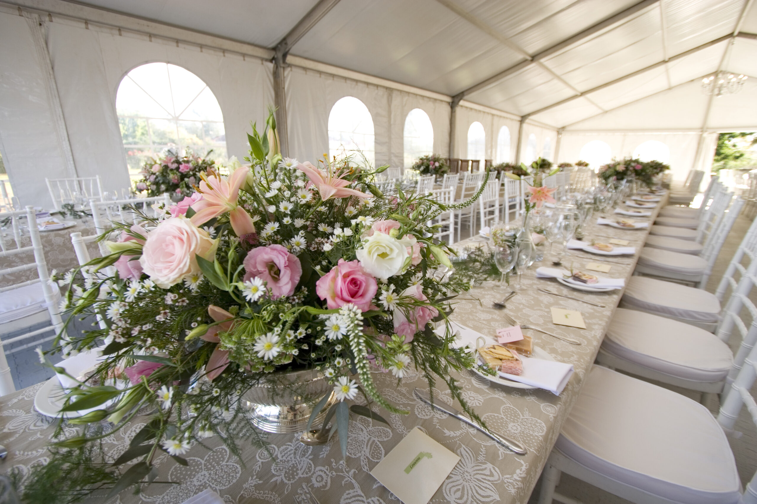 TENT AND CANOPY RENTALS